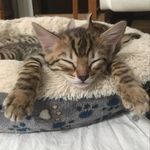 Annette Berg - @annette.berg.319 - Instagram