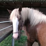 Annette Berg - @aenni.berg - Instagram