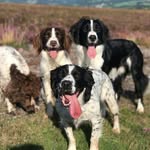 Annette Berry - @annetteberry236 - Instagram