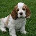 Annette Betts - Facebook