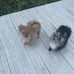 Annette Blank - @annetteblank1 - Instagram