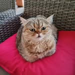 Annette Blank - @annetteblank42 - Instagram