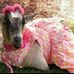 Annette Brown Black - Facebook