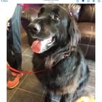 Annette Bourque - @mumoftwoboys2 - Instagram