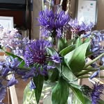 Annette Burden - @annette.burden.5 - Instagram