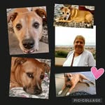 Annette Burrell Dimopoulos - @annetteburrelldimopoulos - Instagram