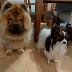 Annette Bush - @annettebush1973 - Instagram