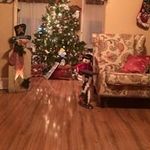 Annette Capozzi - @capozziannette - Instagram