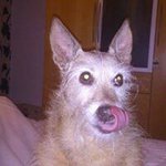 Annette Carr - @annette.carr.771 - Instagram