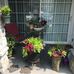 Annette Carr - Facebook