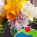 Annette Carr - Facebook