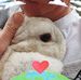 Annette Carr - Facebook
