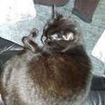 Annenter cartwright - @annettecartwright78 - Instagram