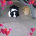 Annette Cartwright - Facebook
