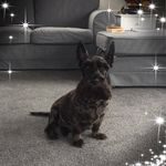 Annette Cavell - @cavellannette - Instagram