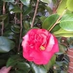 Annette Chase Copeland - @acopeland02 - Instagram