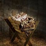 Annette Kemler Chase - @amc201037 - Instagram