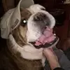 Annette Cox - @annette.cox5 - TikTok