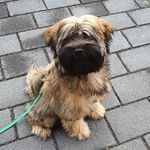 Annette Dieterich - @annette.duda.7 - Instagram