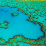 Annette Dutton - @whitsunday_art_images - Instagram