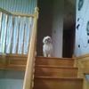 Annette Gleeson - @annette.gleeson - TikTok