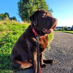 Annette Eason - @easonannette - Instagram