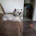 Annette Eaves - Facebook