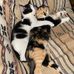 Annette Ebert - Facebook