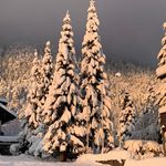 Annette Ebert - @60ae - Instagram