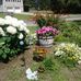 Annette Eccles - Facebook