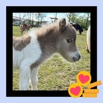 Annette Eckardt - @annetteeckardt - Instagram