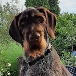 Annette Eckl - @annette.eckl - Instagram