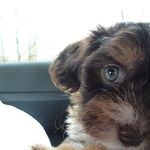 Annette Eckhardt - @eckhardt_annette - Instagram