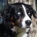Annette Ehrhardt - Facebook