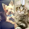 Annet_Teddy - @annet_teddy - TikTok