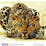 Annette Edgell - @annetteedgell - Instagram