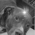 Annette Edmond - Facebook