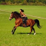 Annette Ehrhardt - @annette.ehrhardt71 - Instagram