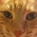 Annette Ehrhardt - Facebook