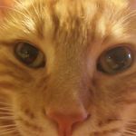 Annette Ehrhardt - @annettee37 - Instagram