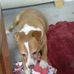 Annette Eldridge - Facebook