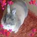 Annette Fetting - Facebook