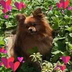 Annette Fenwick - Facebook