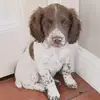 Annette Fleming - @annette.fleming1 - TikTok