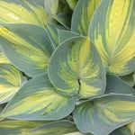 Annette Förster - @annettefoerster25 - Instagram