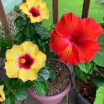 Annette Frederick - @afrederick3 - Instagram