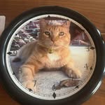 Annette Frederick Humphreys - @annette.f.humphreys - Instagram