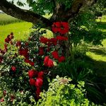 Annette Frey - @annette.2028 - Instagram