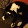India - @annettefreytag0 - TikTok
