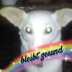 Annette Friedmann - Facebook